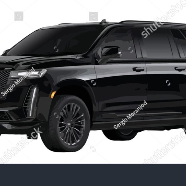 Naturally Aspirated v6 Car Engine